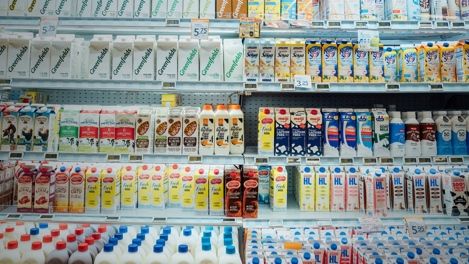 Milk shelves in a store. This photo represents the variation in prices.