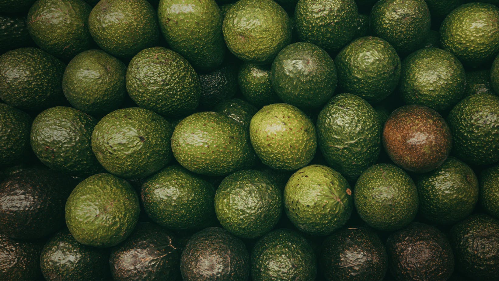 Closeup overhead view of several rows of avocados, which are a demanded product in a store