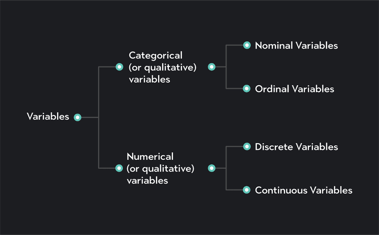Discrete & Continuous Variables With Examples | Outlier