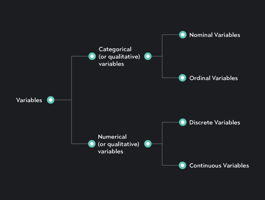 Definition Of Variables In Statistics Understanding Variables in Statistics: Types & Examples | Outlier