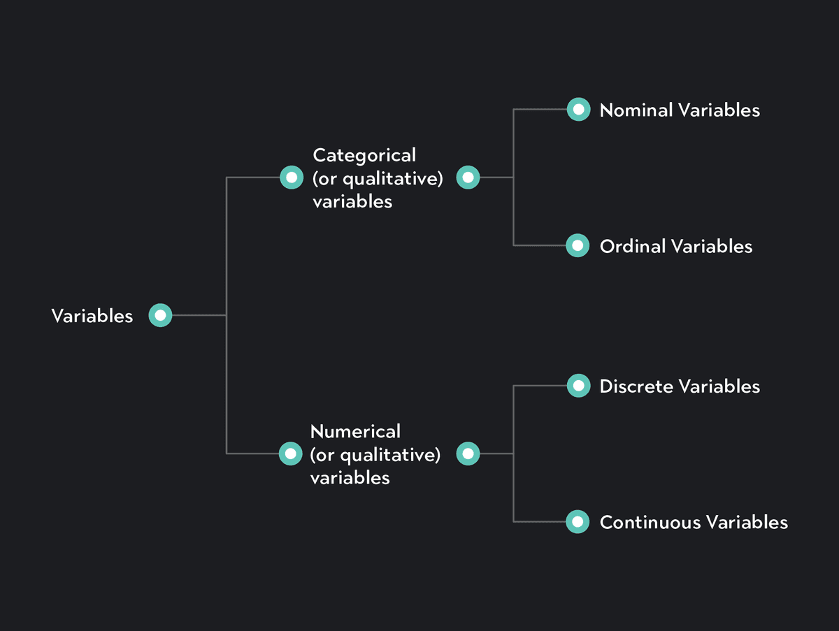Understanding Variables in Statistics: Types & Examples | Outlier