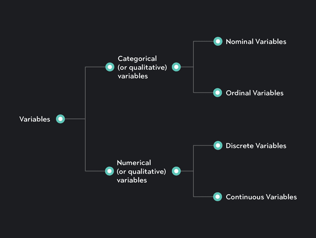 Definition Of Variables In Statistics Understanding Variables in Statistics: Types & Examples | Outlier