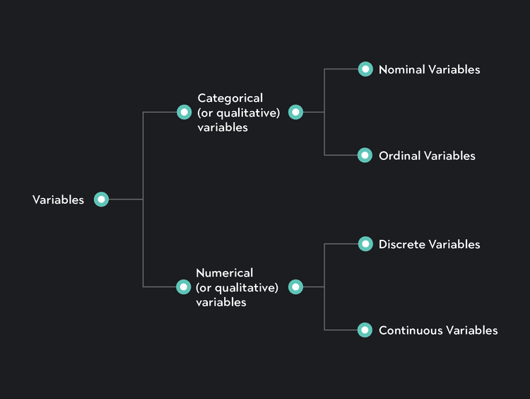 Definition Of Variables In Statistics Understanding Variables in Statistics: Types & Examples | Outlier