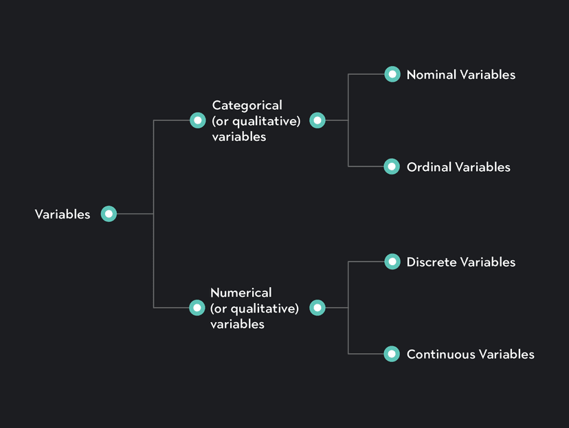 Understanding Variables in Statistics: Types & Examples | Outlier